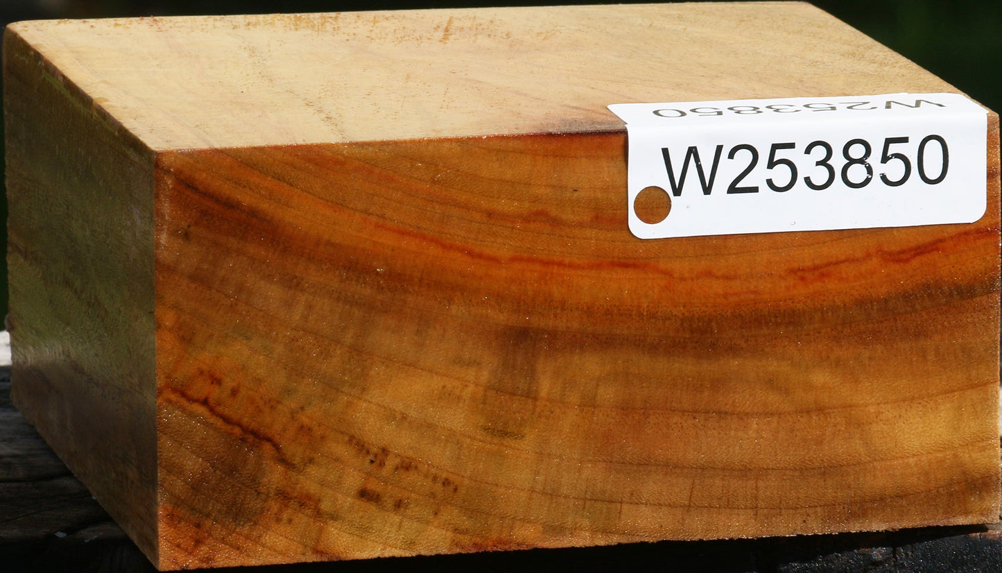 Camphor Bowl Blank