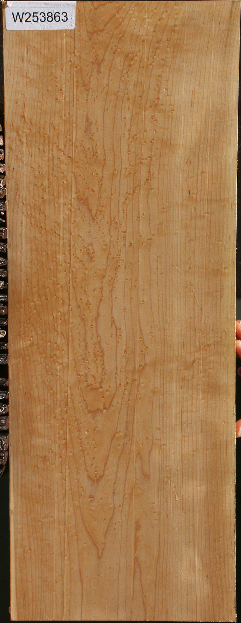 Extra Fancy Birdseye Maple Drop Top Electric Guitar Billet