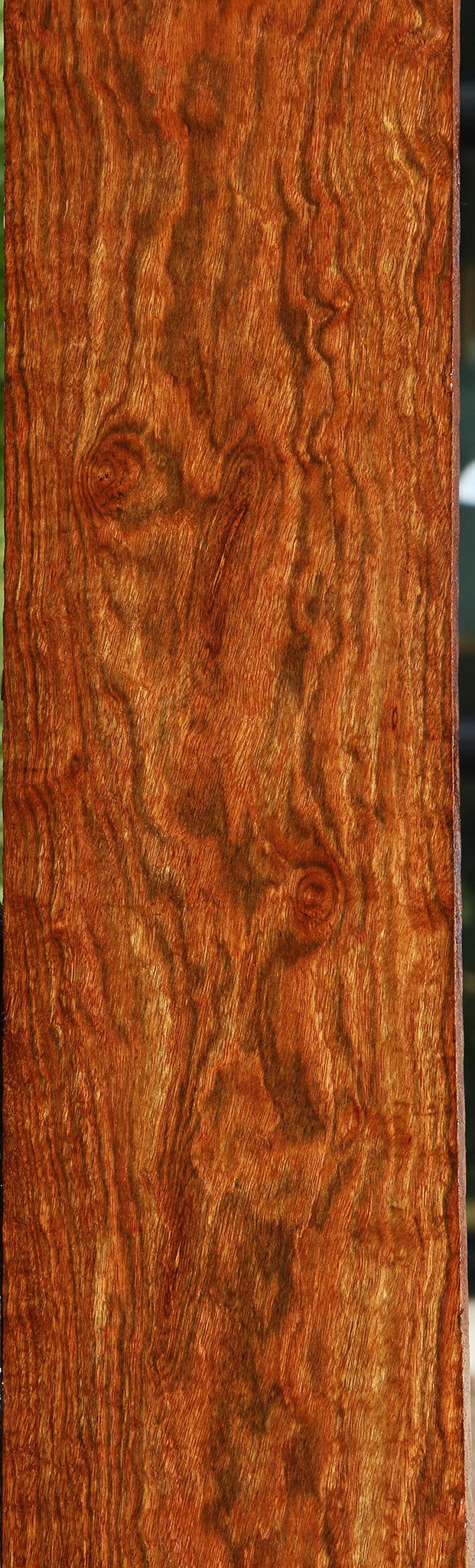 Exhibition Chechen Lumber