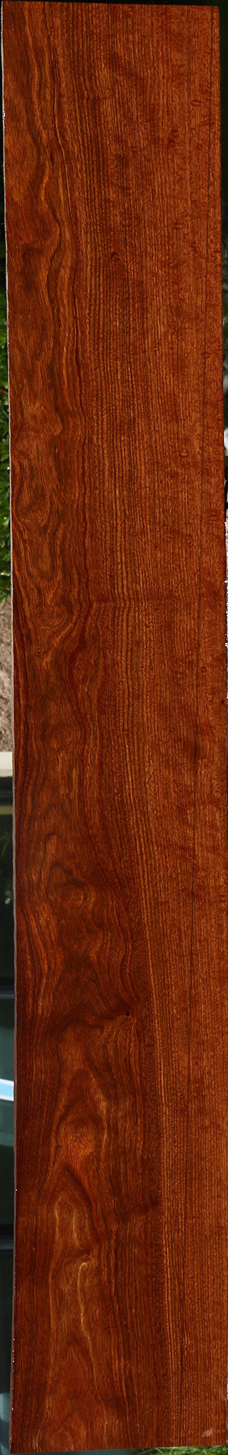 Extra Fancy Chechen Lumber