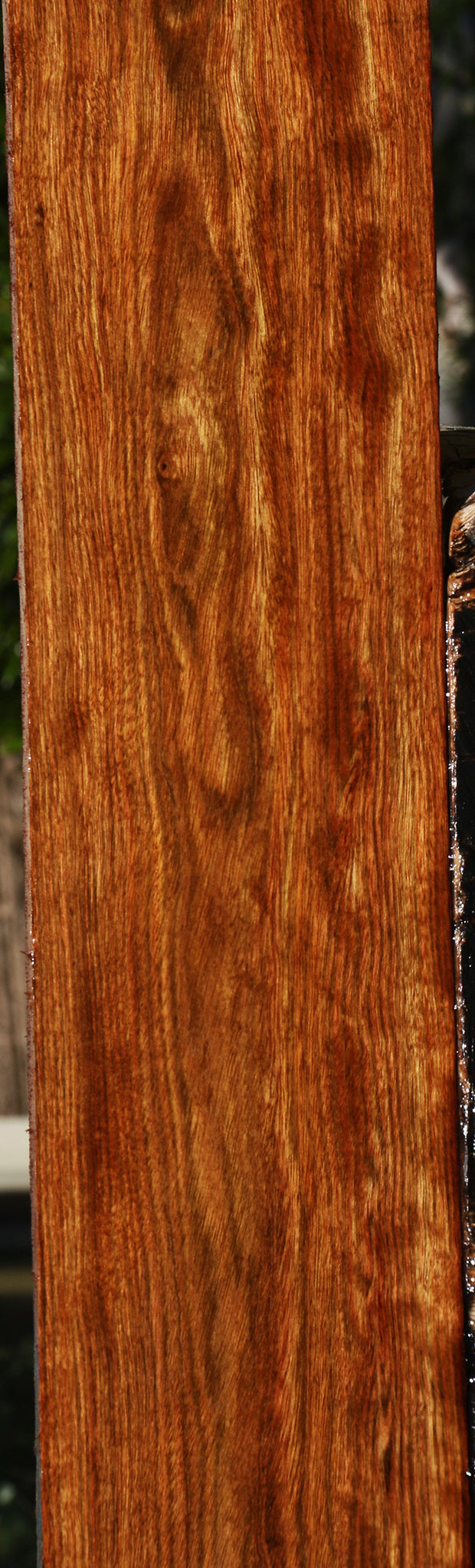 Figured Chechen Lumber