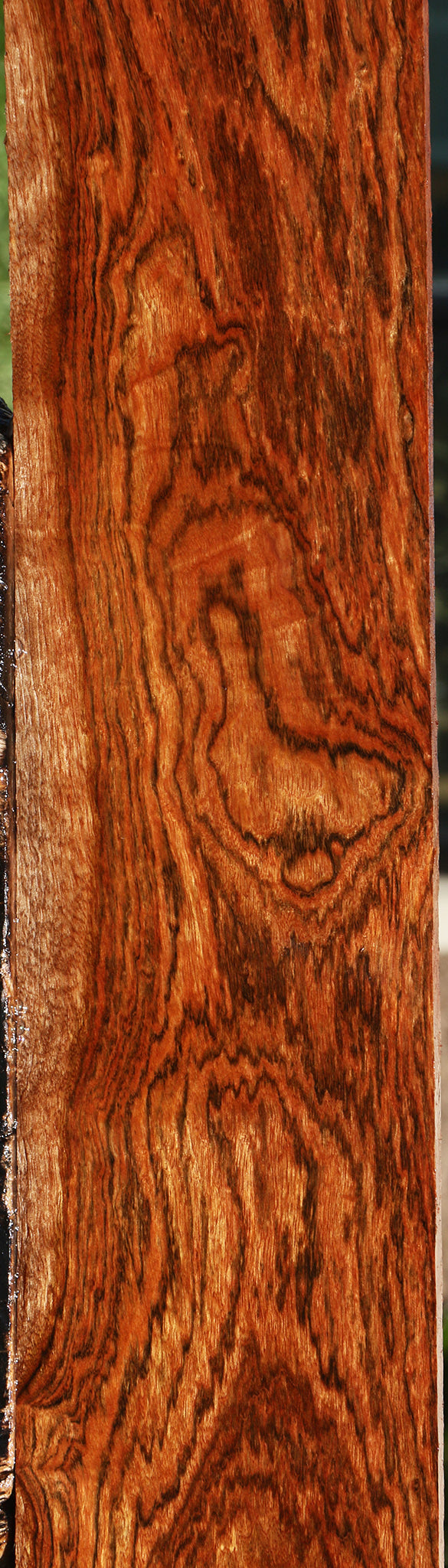 Extra Fancy Chechen Lumber