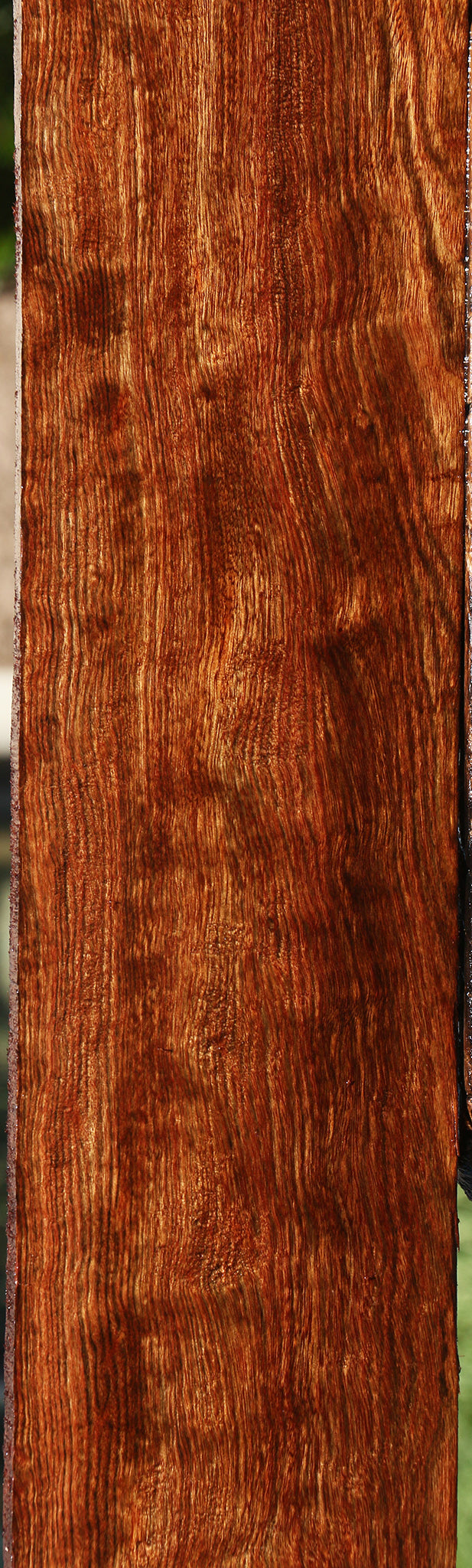 Extra Fancy Chechen Lumber