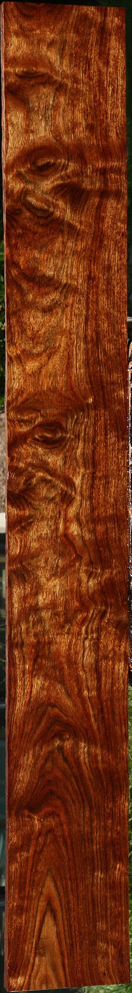 Extra Fancy Chechen Lumber