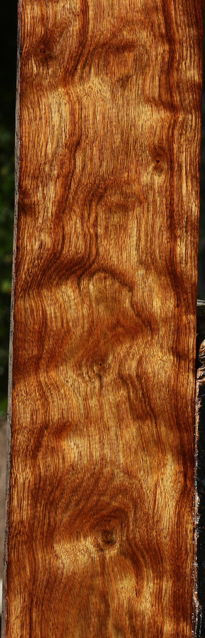 Extra Fancy Chechen Lumber