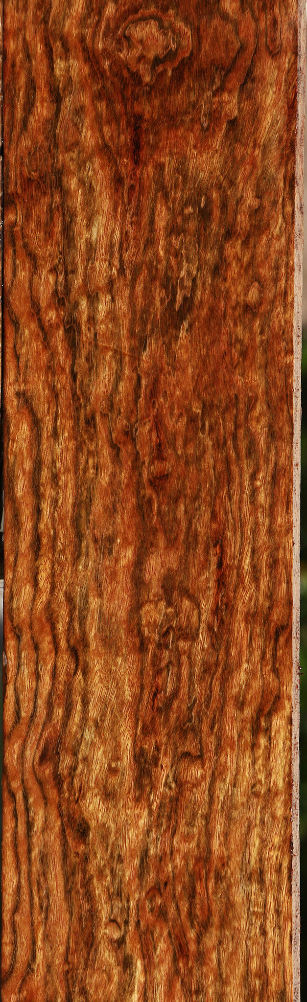 Exhibition Chechen Lumber