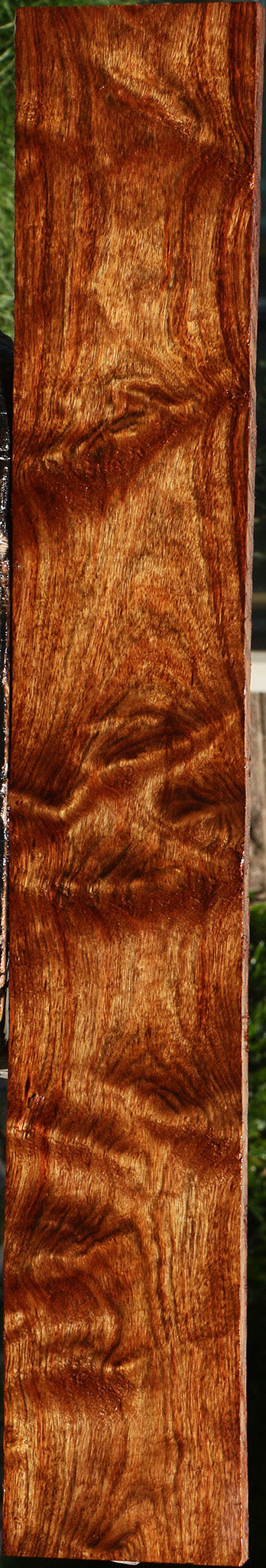 Extra Fancy Chechen Lumber