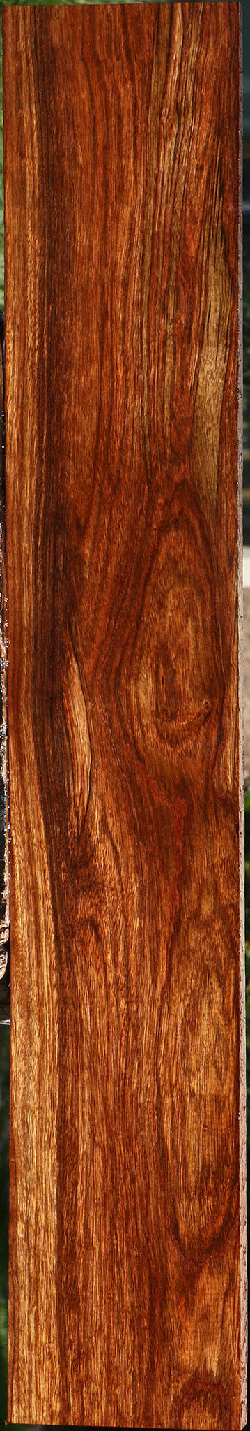 Chechen Lumber