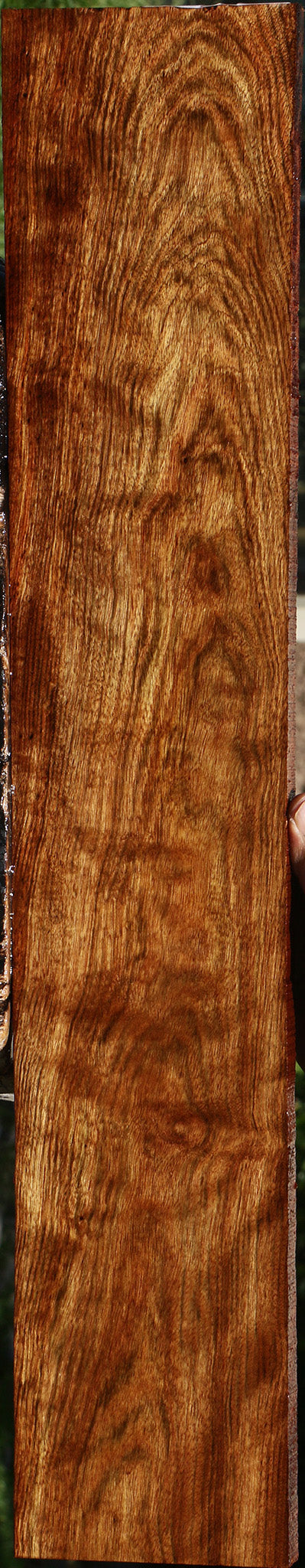 Extra Fancy Chechen Lumber