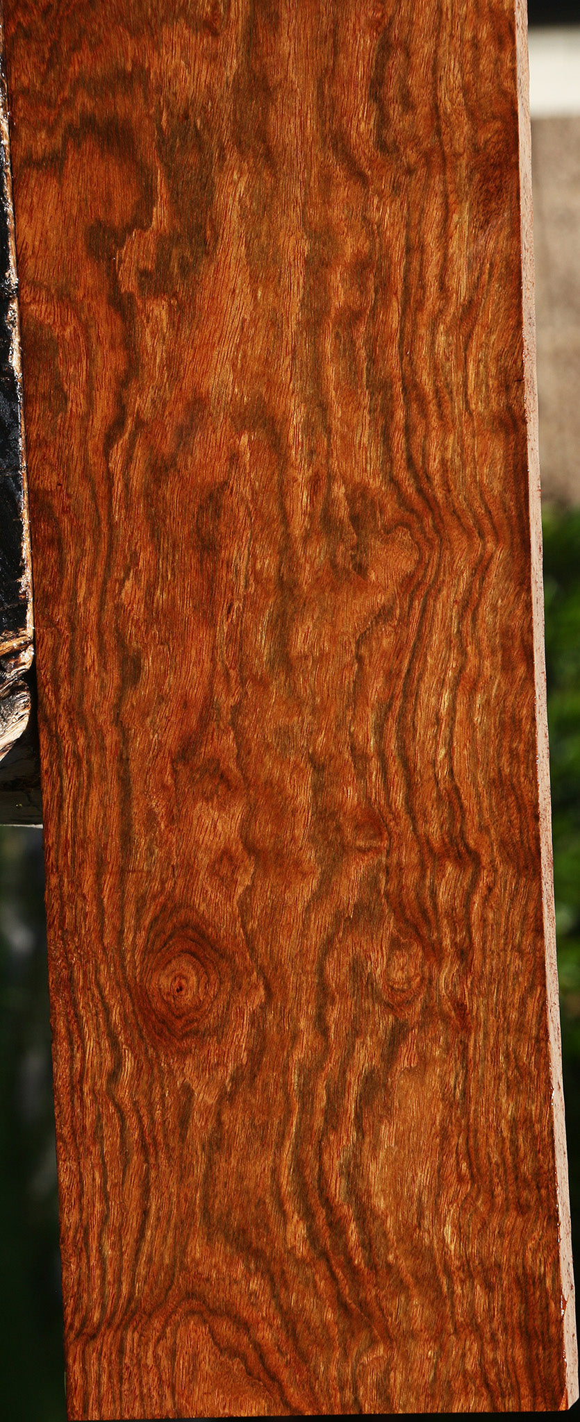 Extra Fancy Chechen Lumber