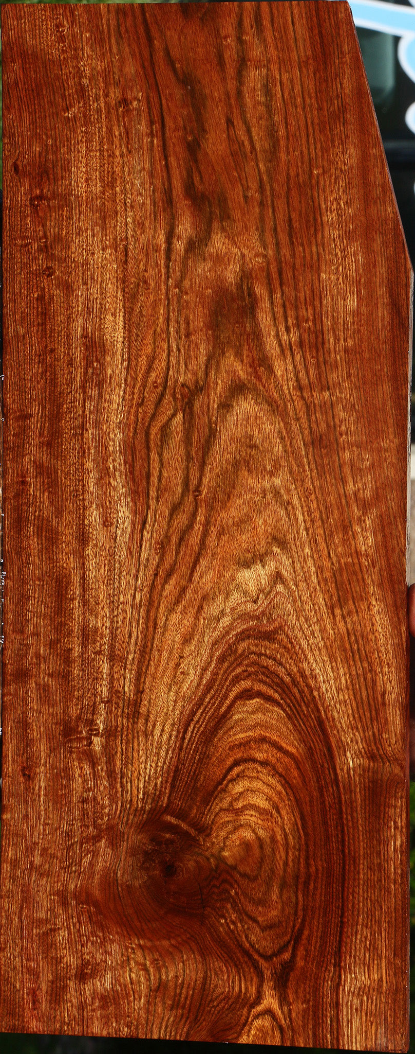 Extra Fancy Chechen Lumber