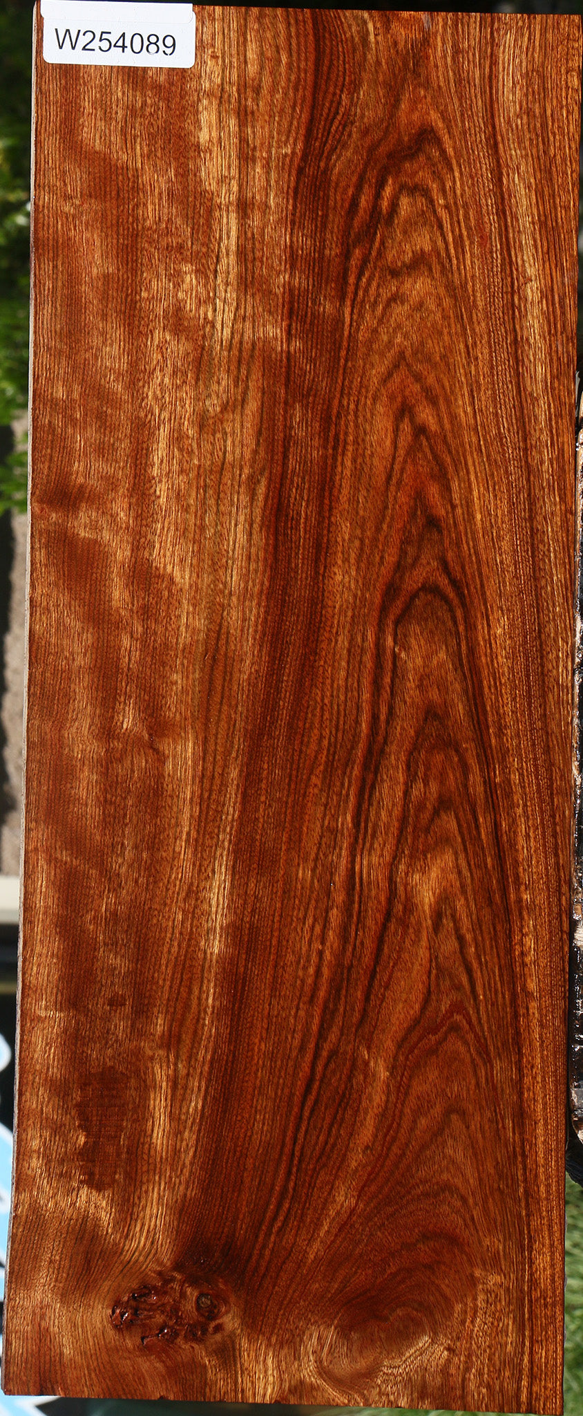 Extra Fancy Chechen Lumber