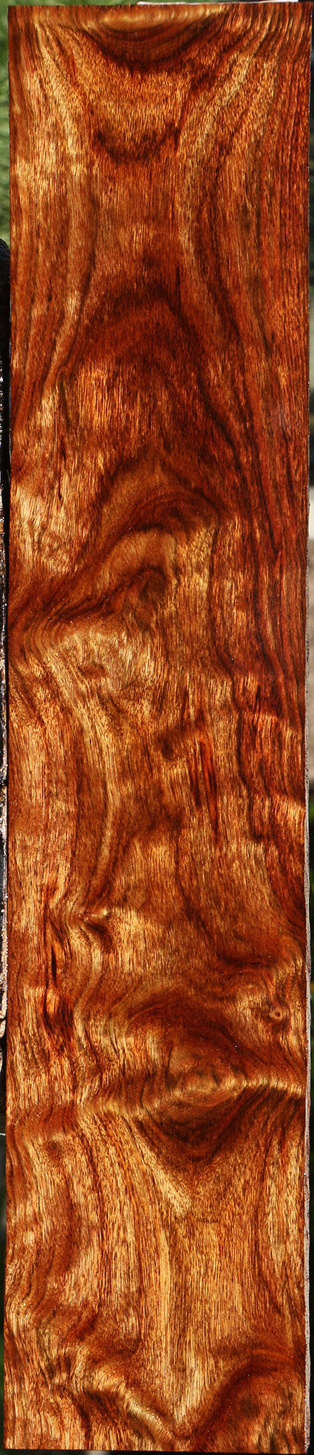 Extra Fancy Chechen Lumber