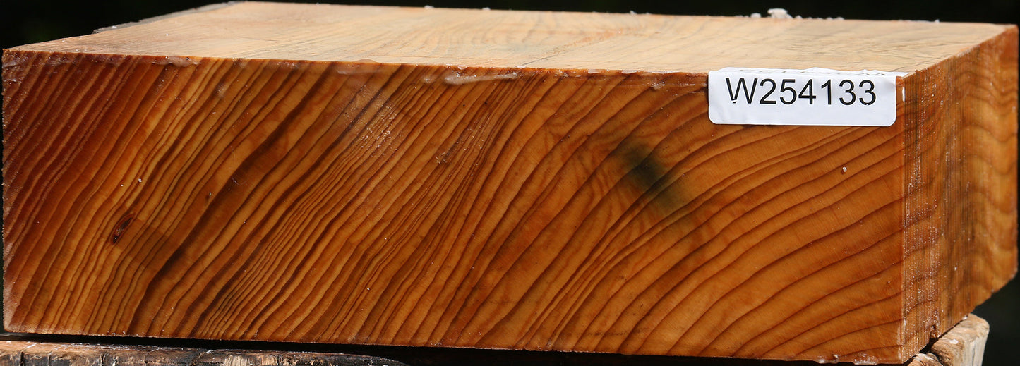 Cedar Of Lebanon Bowl Blank