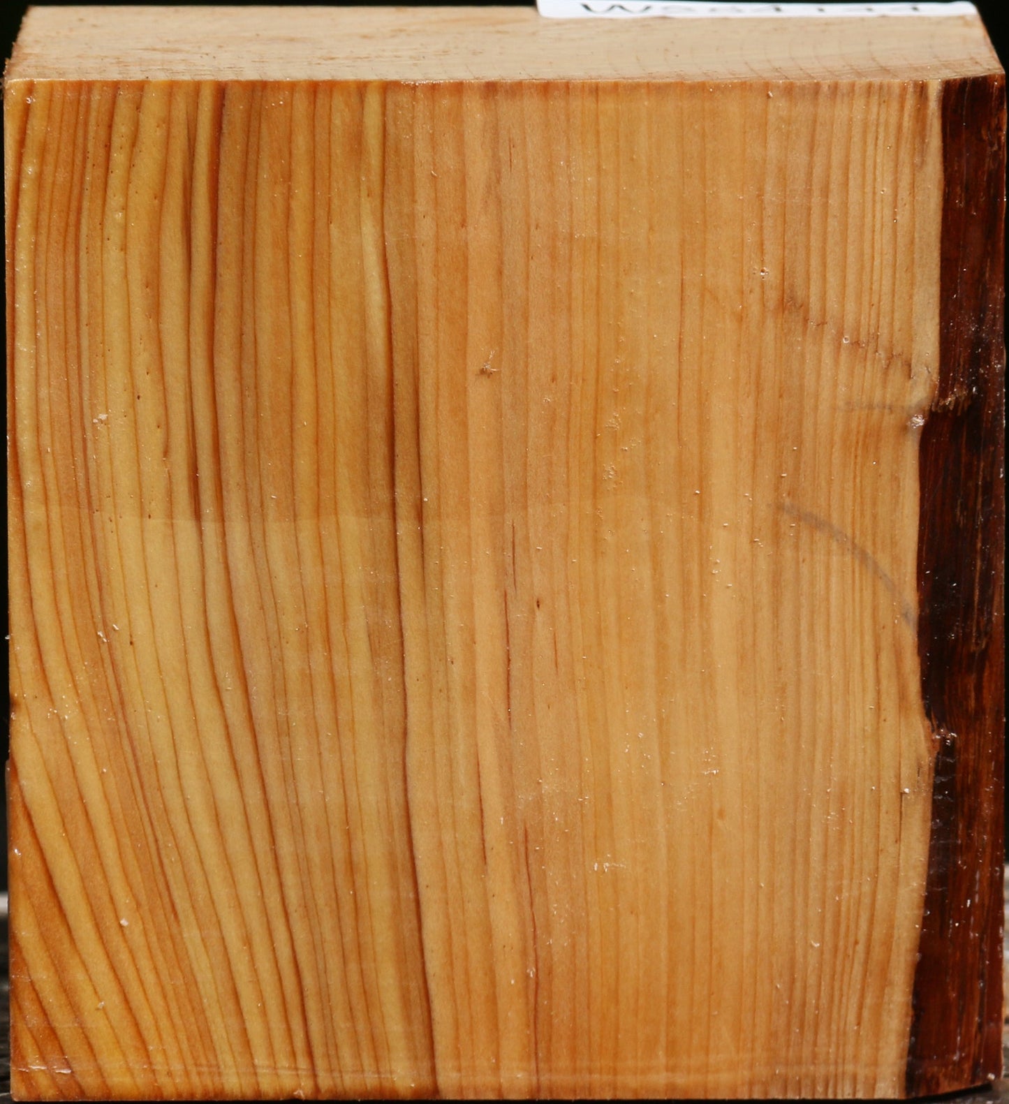Cedar Of Lebanon Bowl Blank