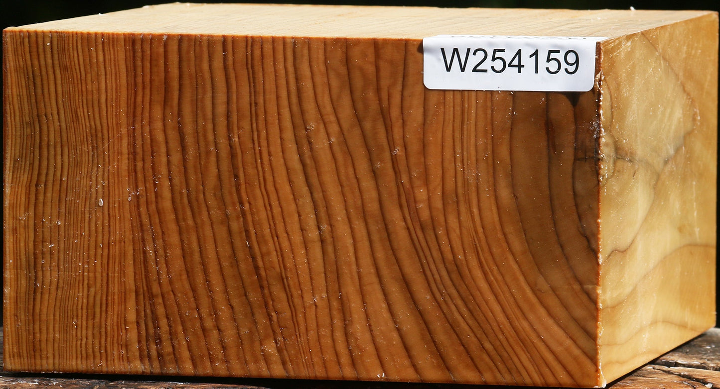 Quartersawn Cedar Of Lebanon Bowl Blank