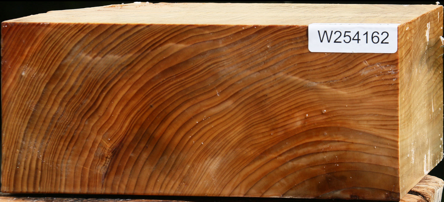 Cedar Of Lebanon Bowl Blank