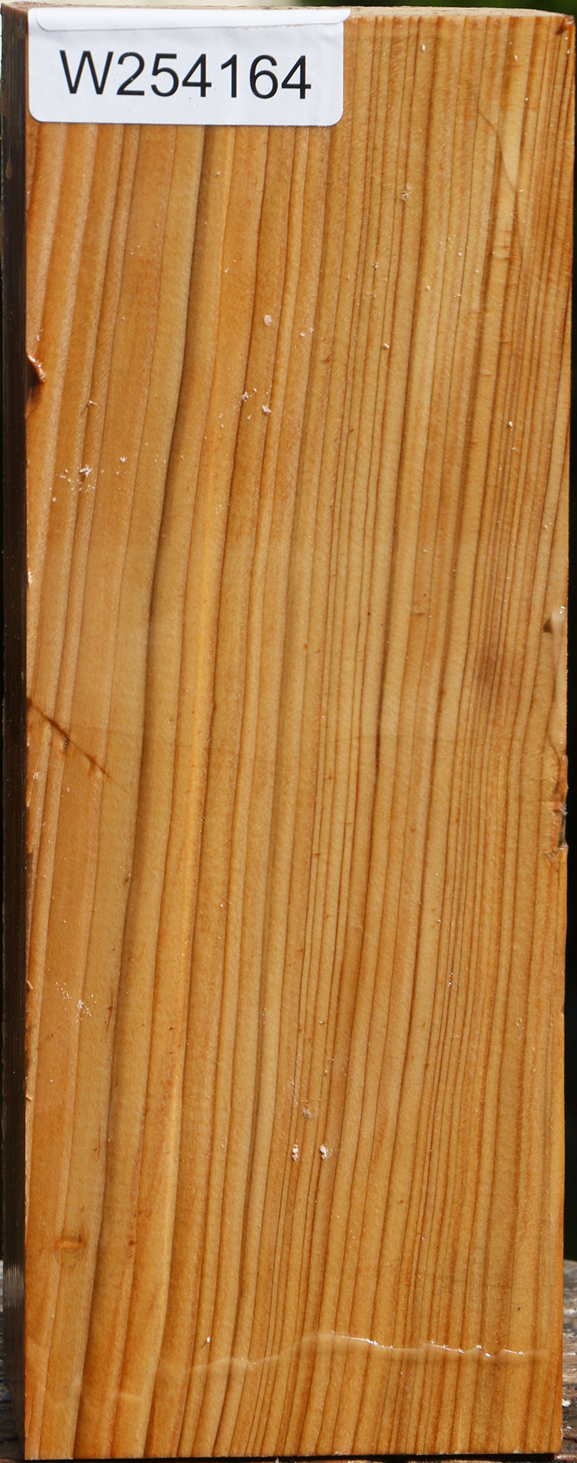 Cedar Of Lebanon Vessel Blank