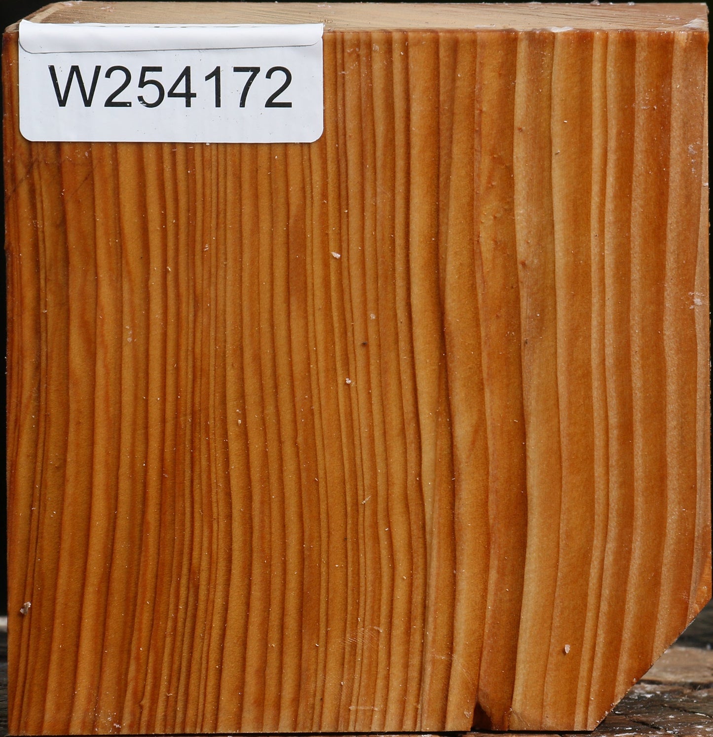 Cedar Of Lebanon Bowl Blank