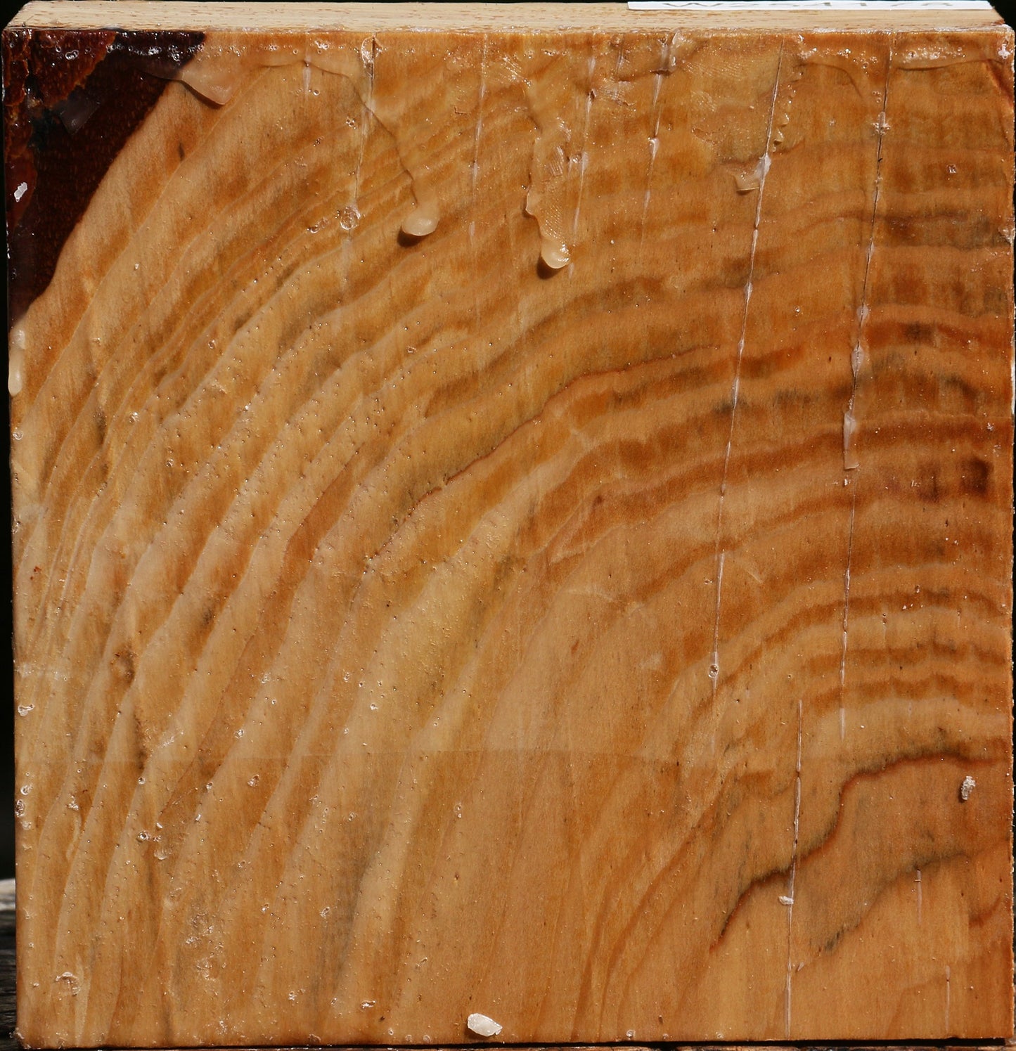Cedar Of Lebanon Bowl Blank