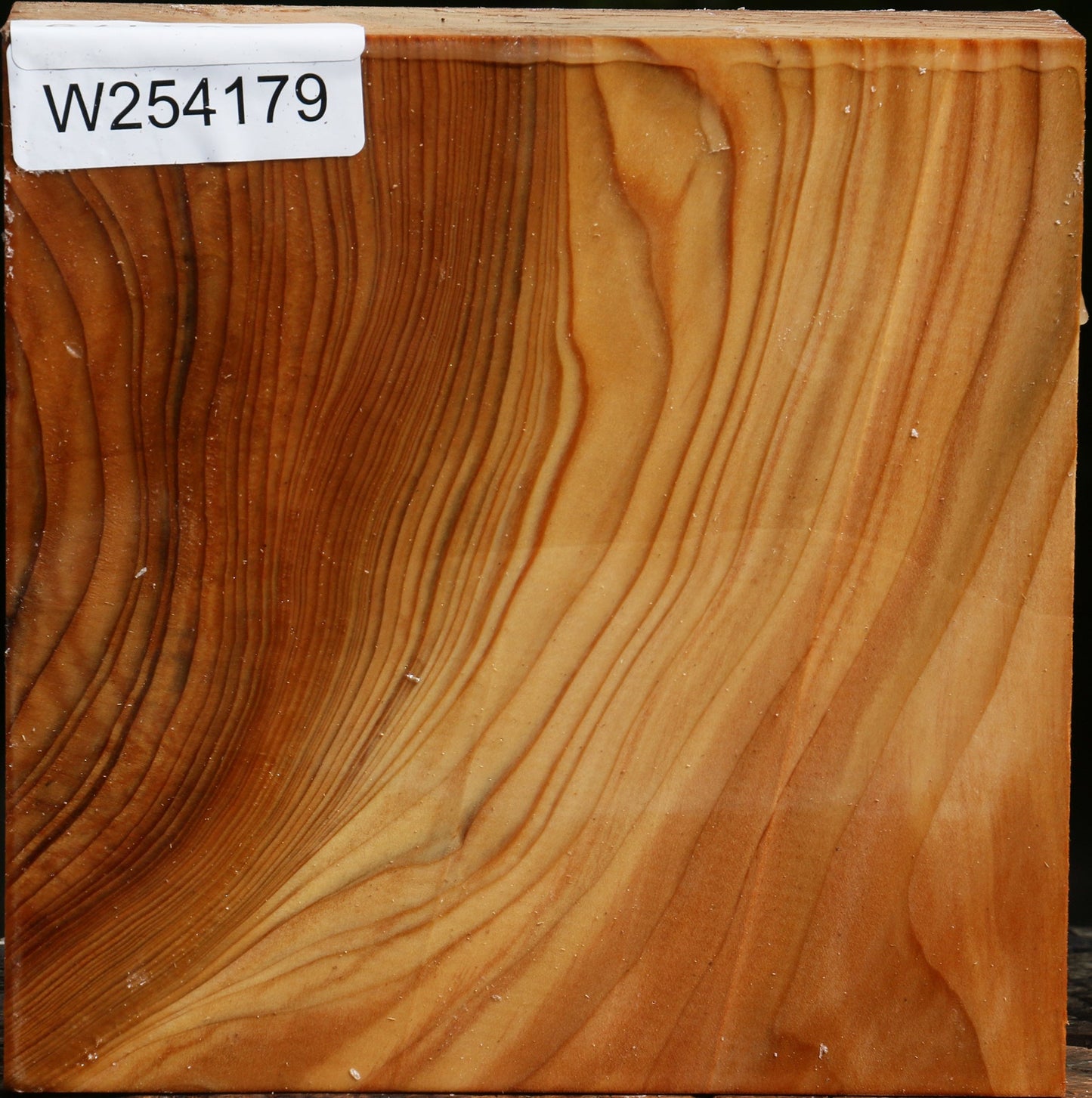 Cedar Of Lebanon Bowl Blank