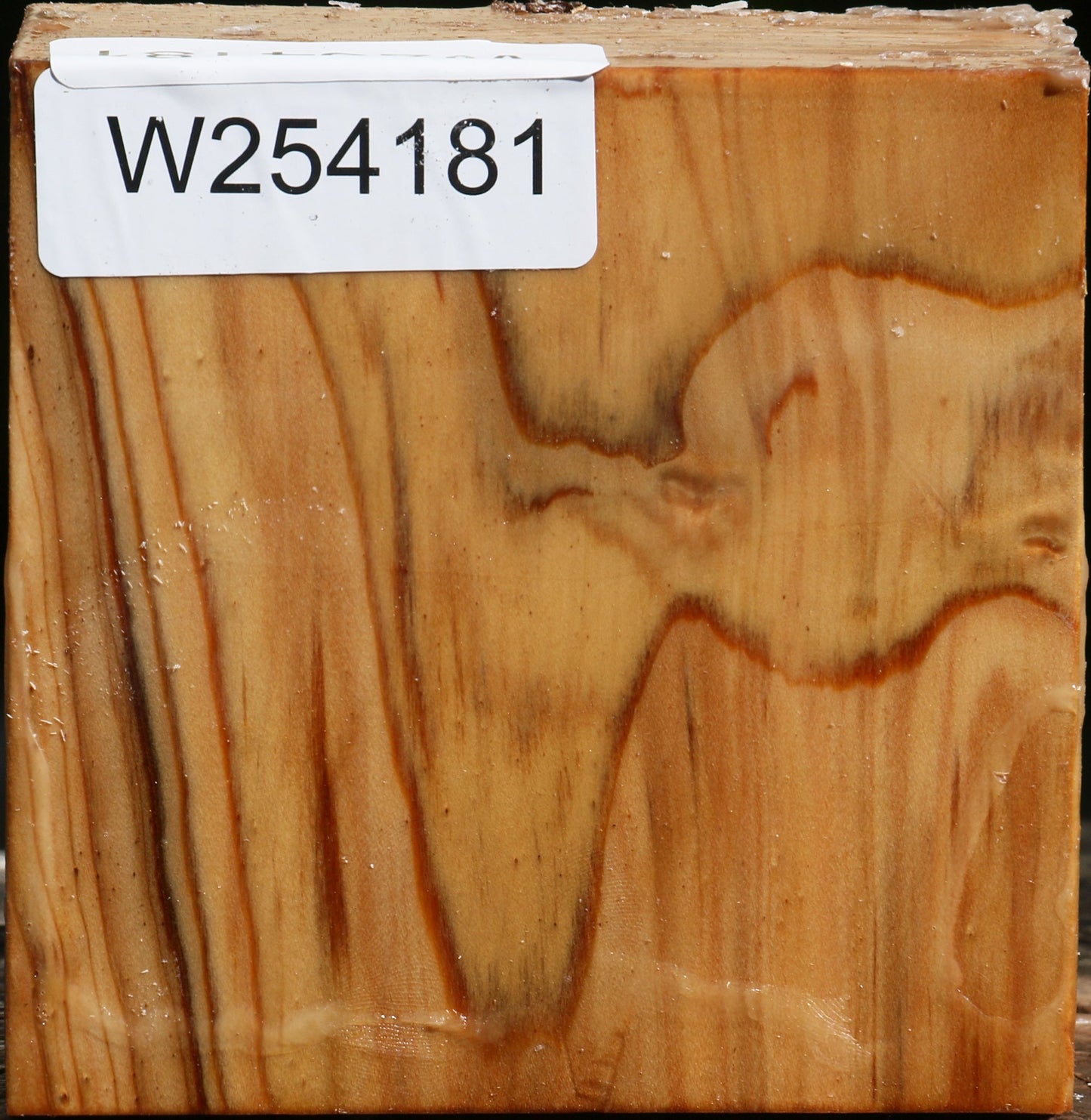 Cedar Of Lebanon Bowl Blank