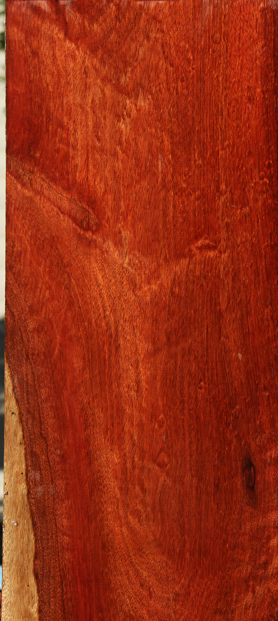 Extra Fancy Bloodwood Lumber