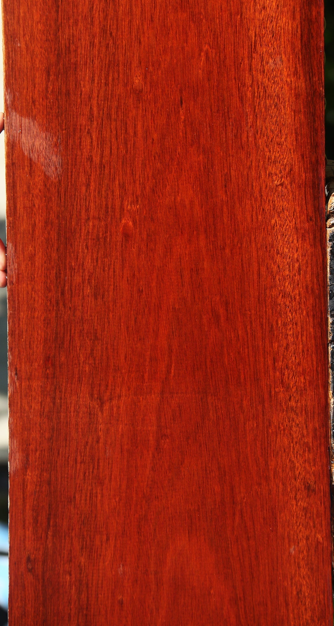 Bloodwood Lumber
