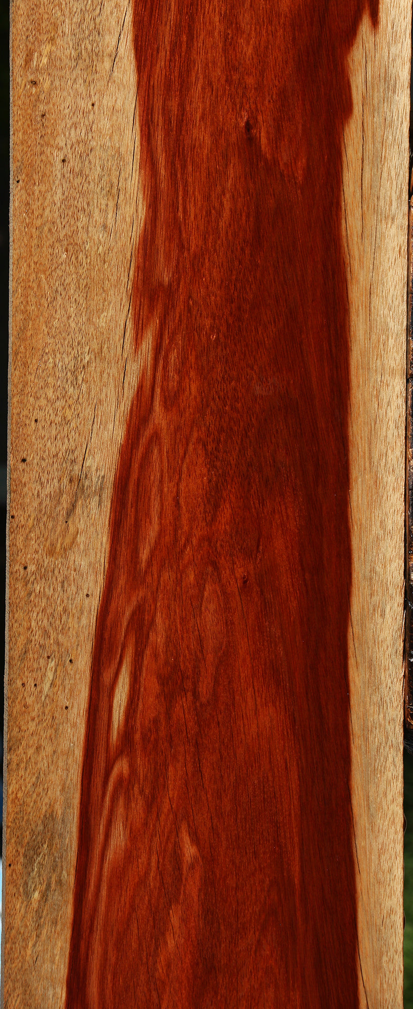 Rustic Bloodwood Lumber