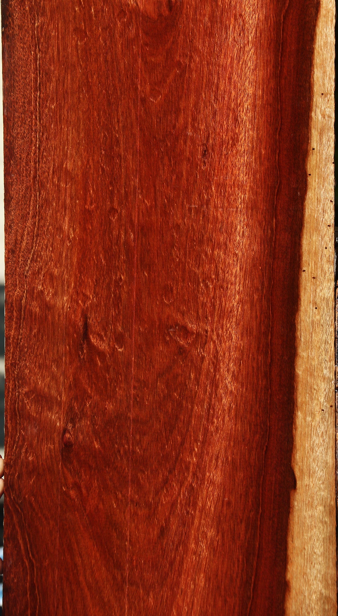 Extra Fancy Bloodwood Lumber