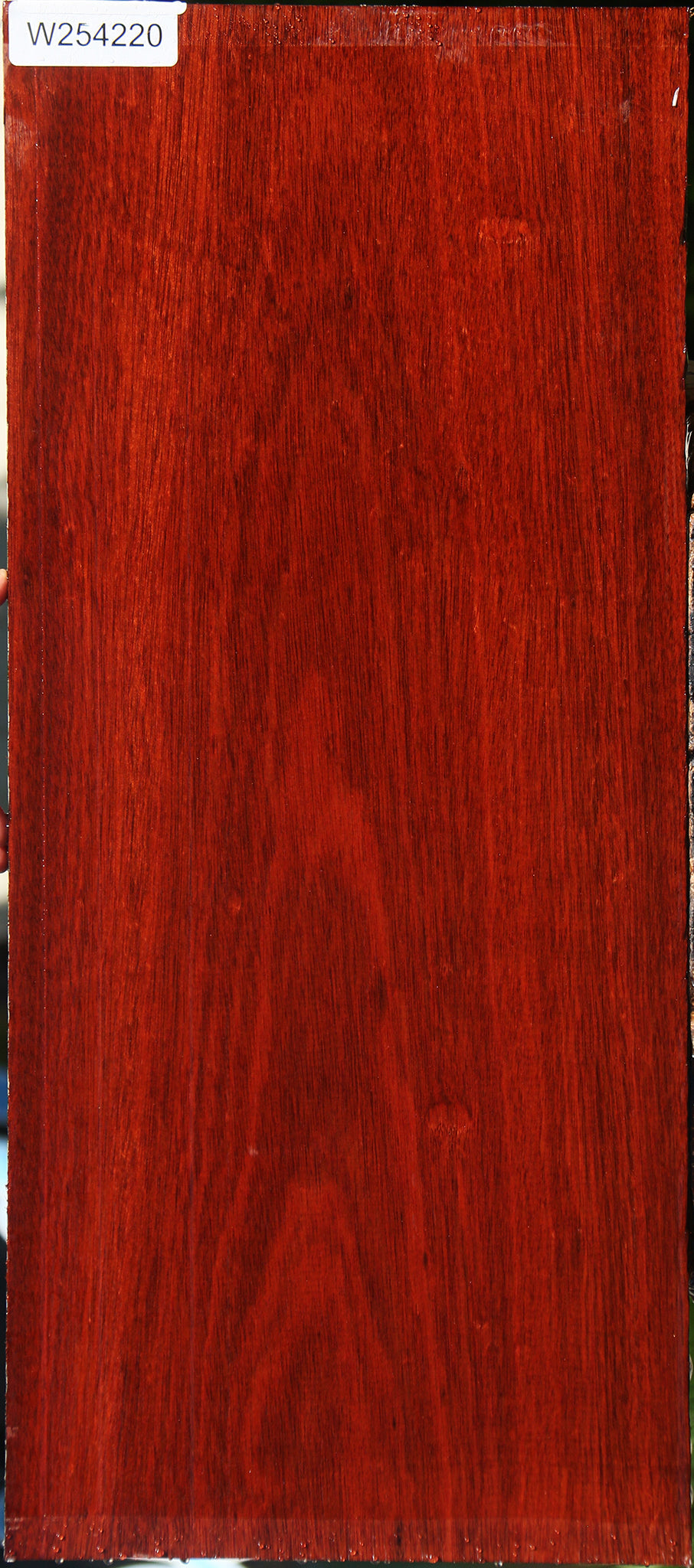 Bloodwood Lumber
