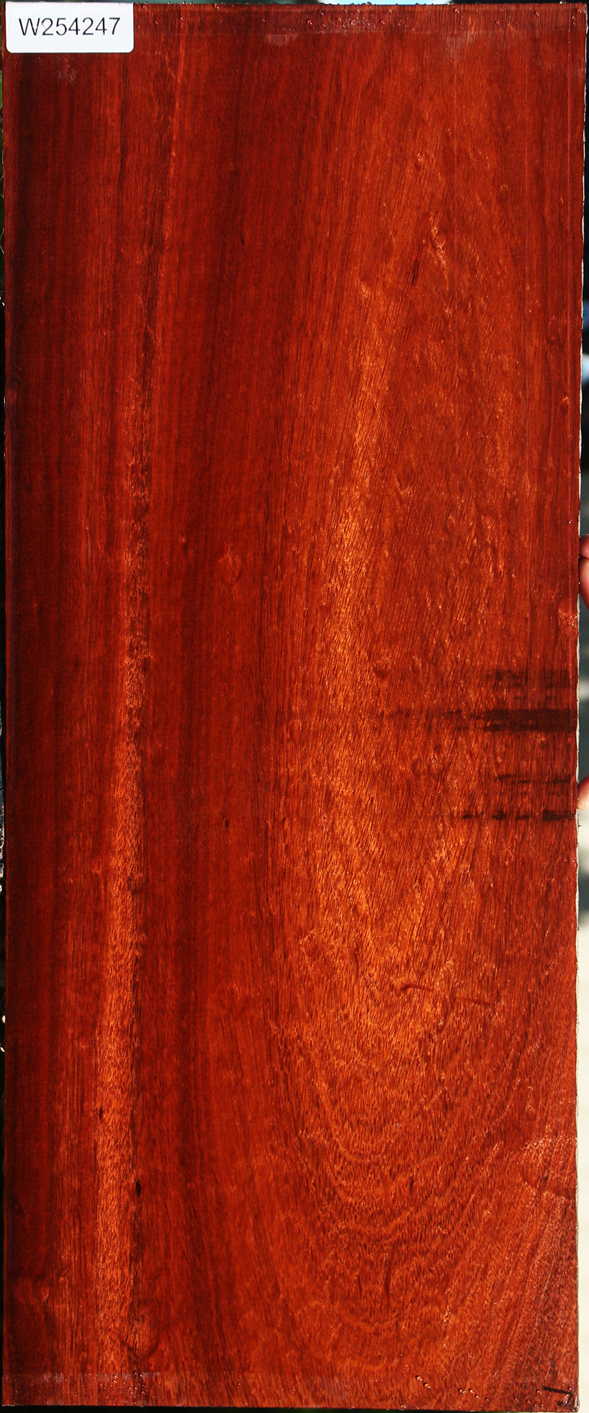 Extra Fancy Bloodwood Lumber