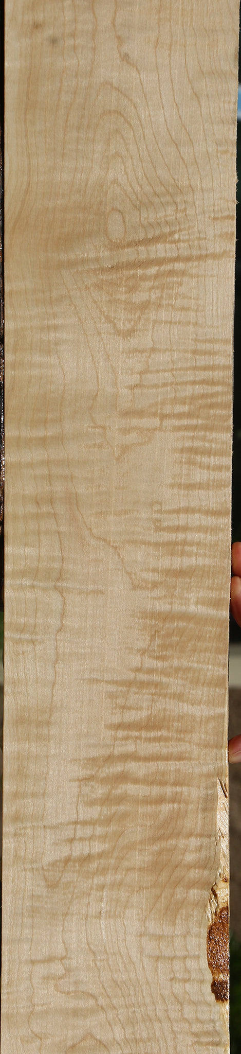 Extra Fancy Curly Eastern Red Maple Lumber
