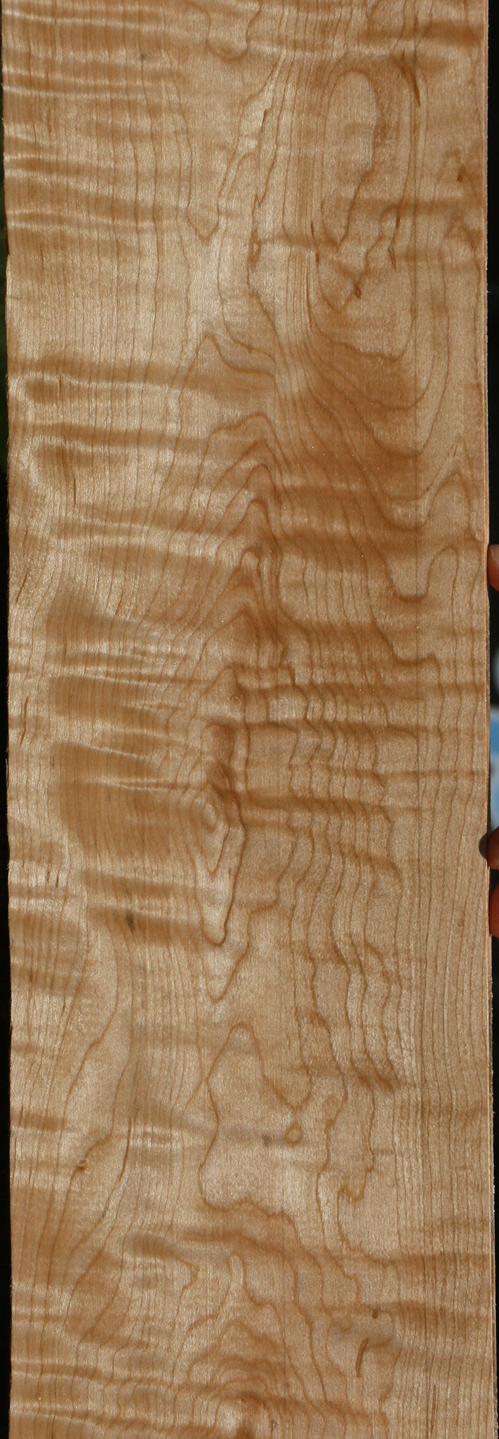 Extra Fancy Curly Eastern Red Maple Lumber