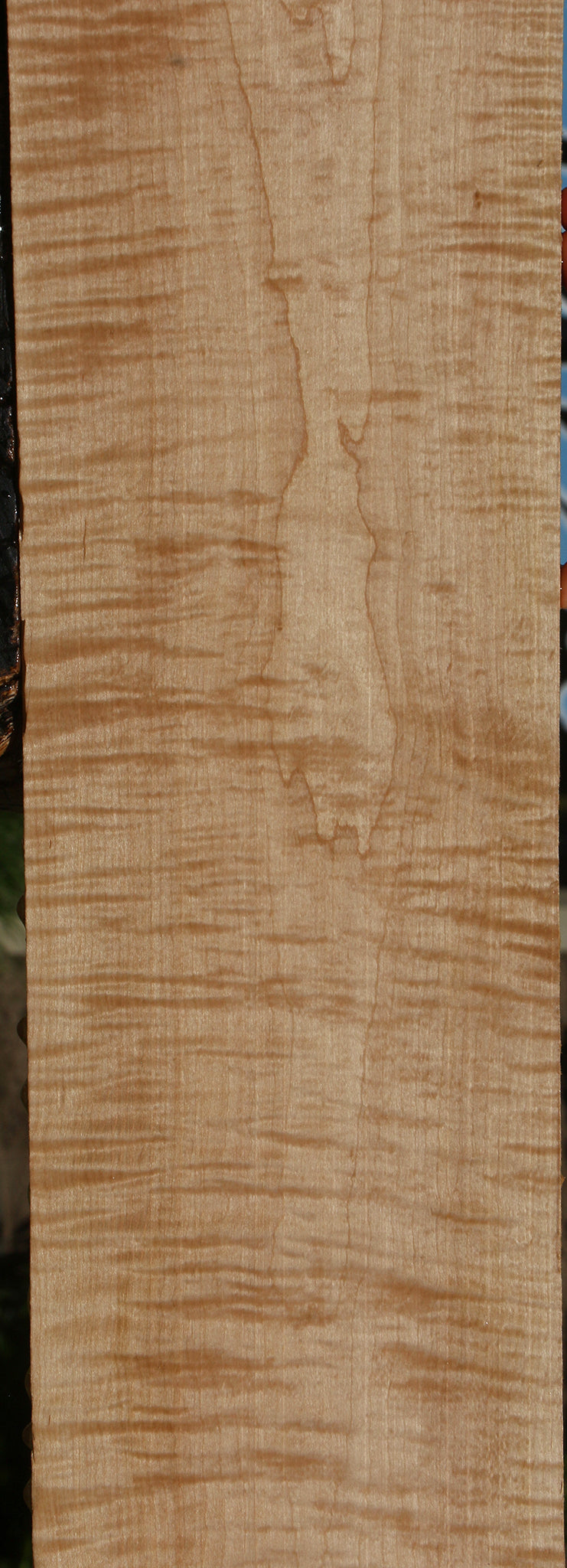 Extra Fancy Curly Eastern Red Maple Lumber