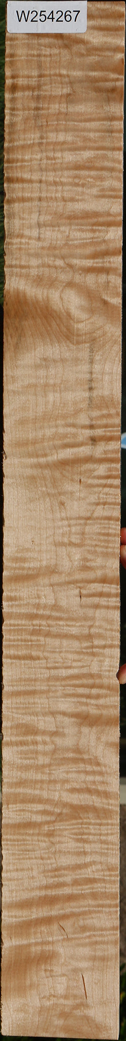 Extra Fancy Curly Eastern Red Maple Lumber