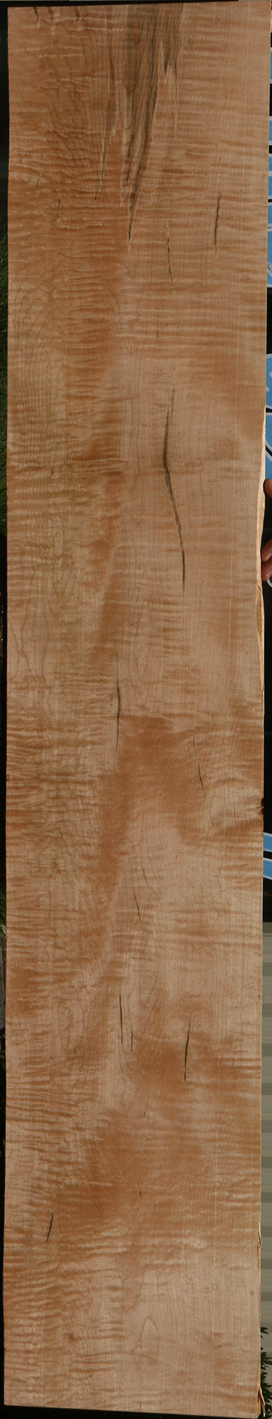 Extra Fancy Ambrosia Maple Lumber