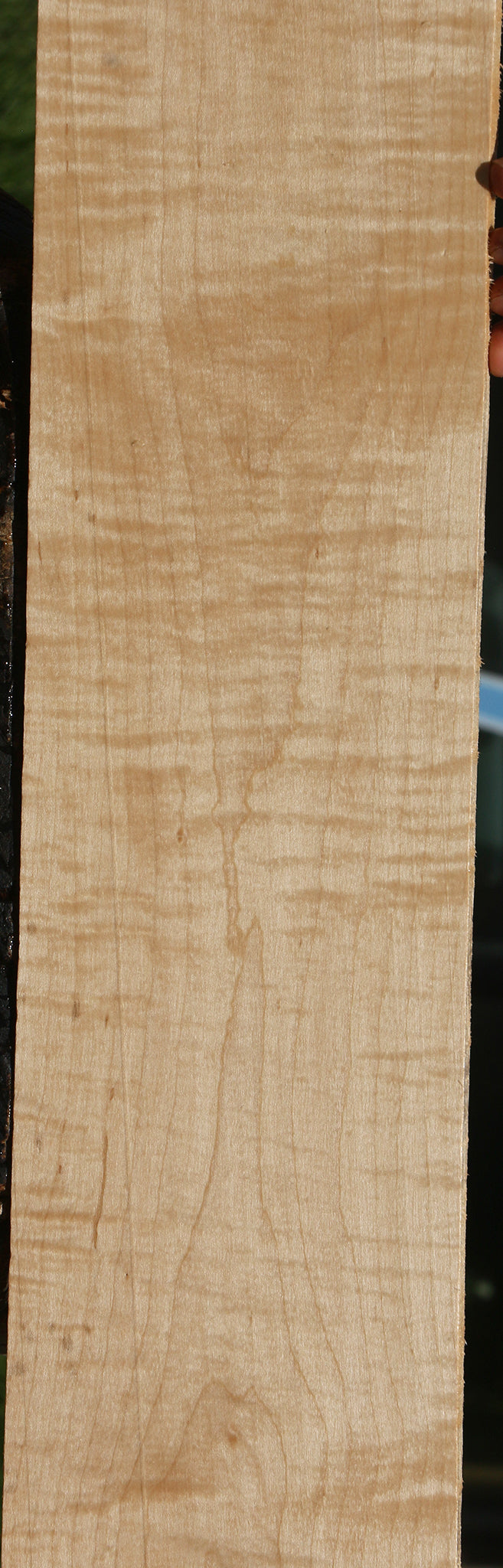 Figured Curly Eastern Red Maple Lumber