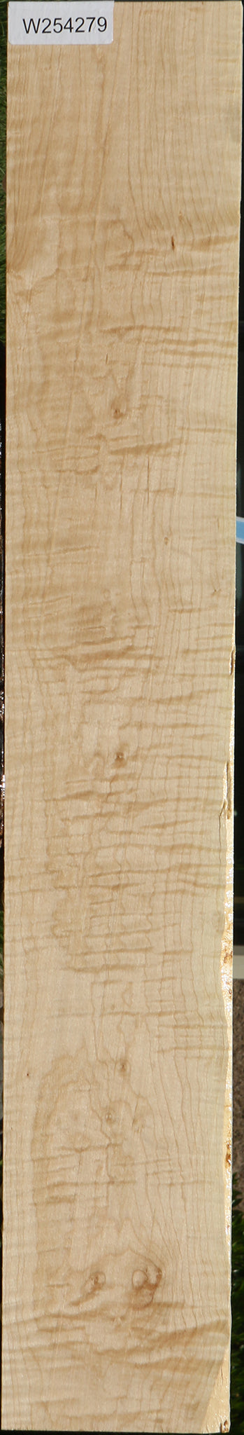Extra Fancy Curly Eastern Red Maple Lumber