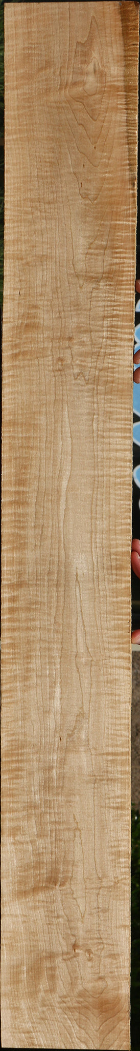 Extra Fancy Curly Eastern Red Maple Lumber