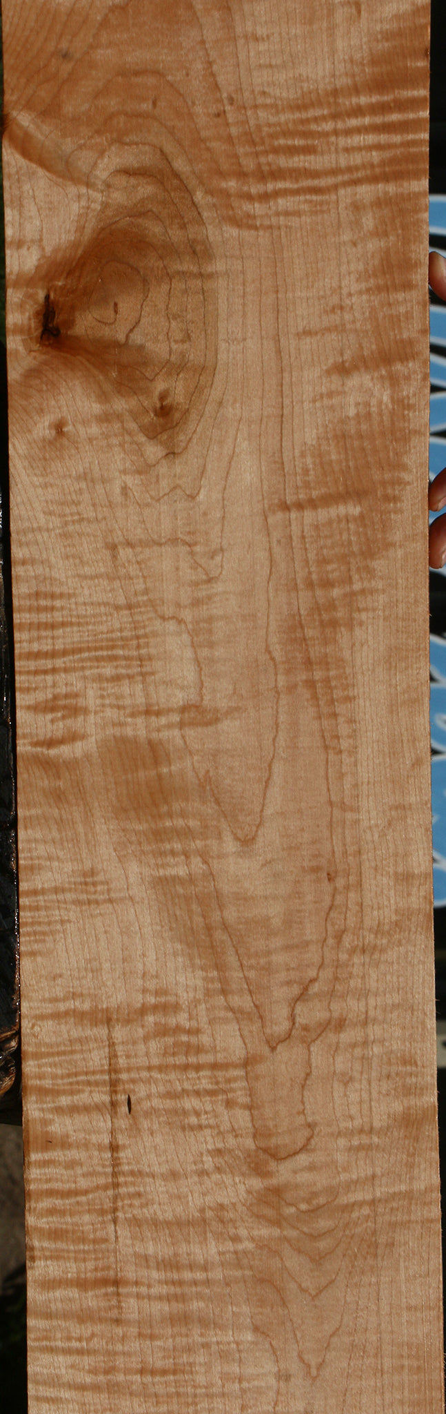 Extra Fancy Curly Eastern Red Maple Lumber