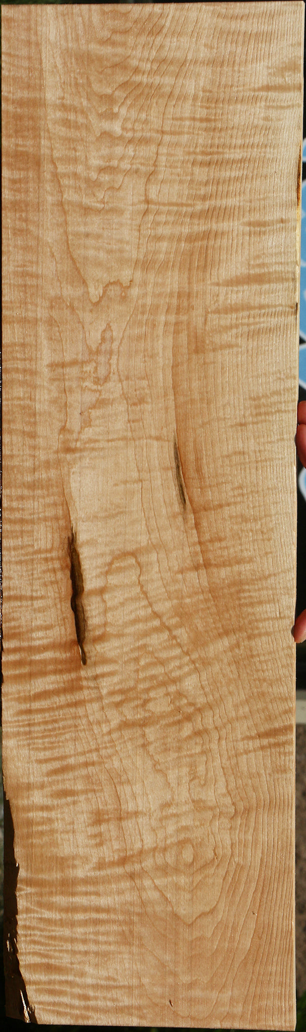Extra Fancy Curly Eastern Red Maple Lumber