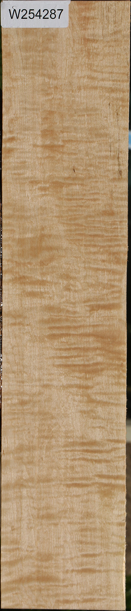Extra Fancy Curly Eastern Red Maple Lumber