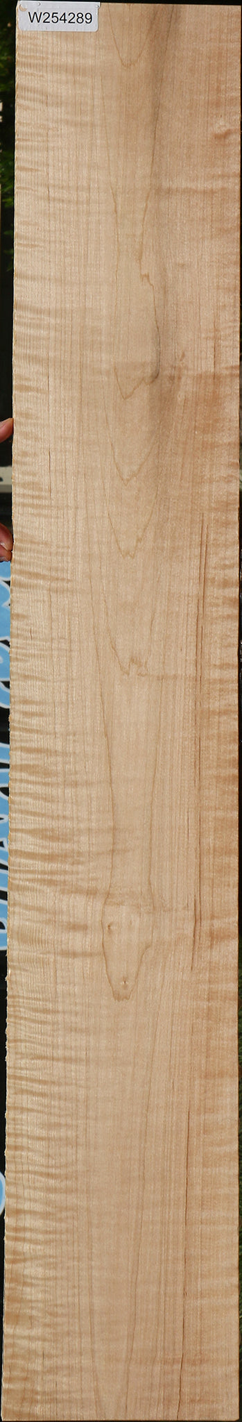 Extra Fancy Curly Eastern Red Maple Lumber
