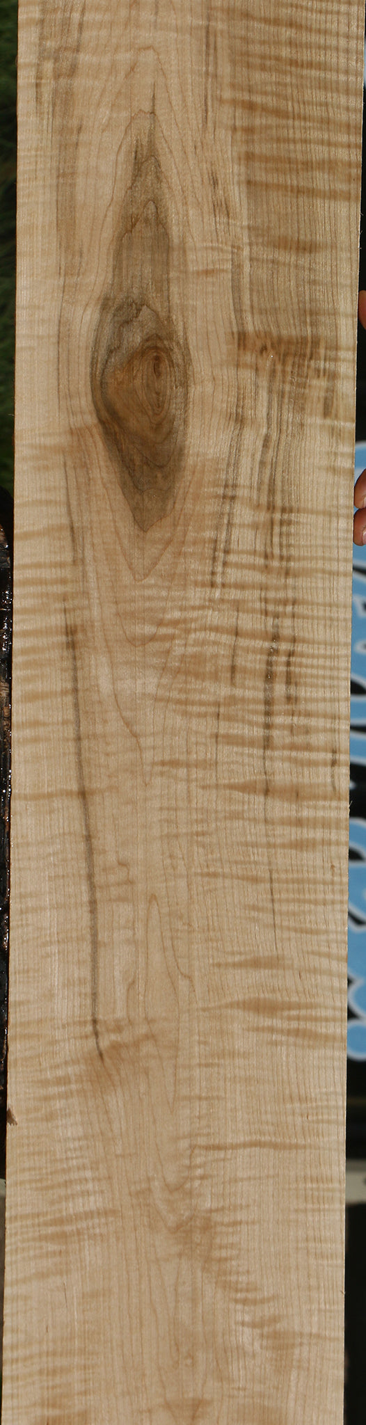 Extra Fancy Curly Eastern Red Maple Lumber