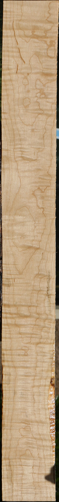 Figured Curly Eastern Red Maple Lumber