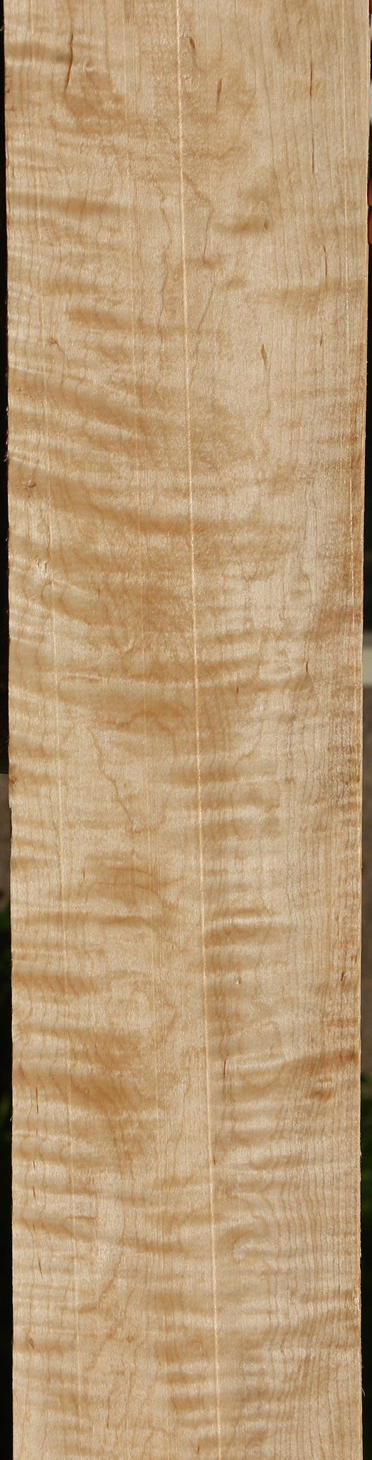 Extra Fancy Curly Eastern Red Maple Lumber