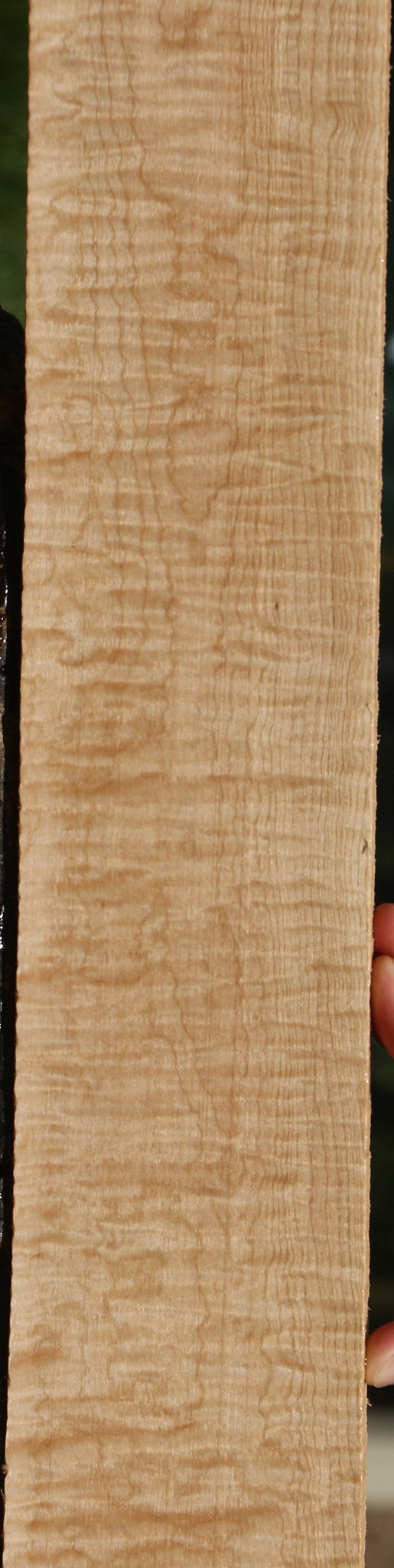 Extra Fancy Curly Eastern Red Maple Lumber