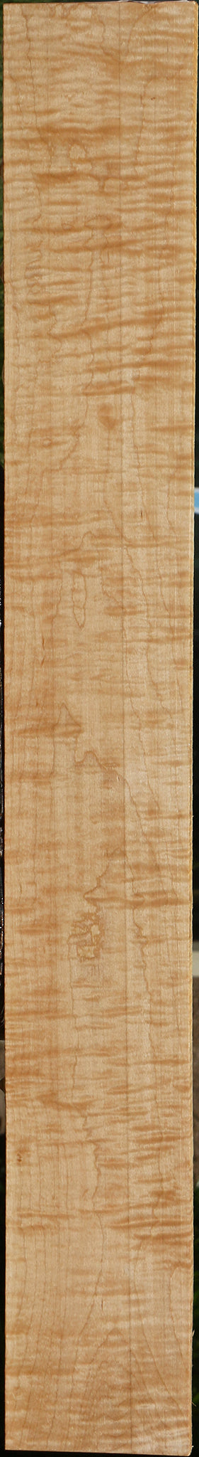 Extra Fancy Curly Eastern Red Maple Lumber