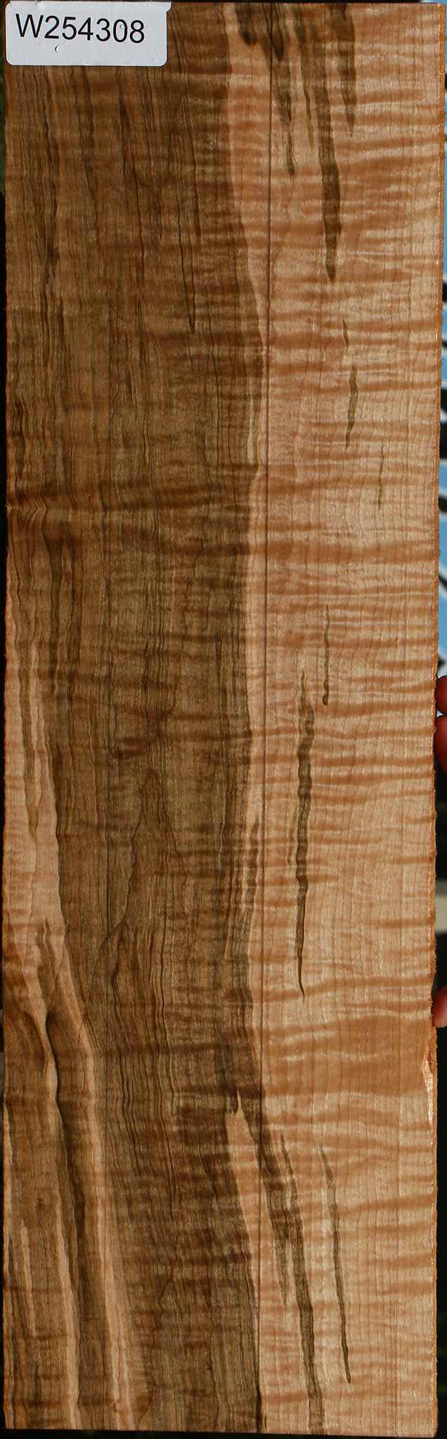 Extra Fancy Curly Ambrosia Maple Lumber